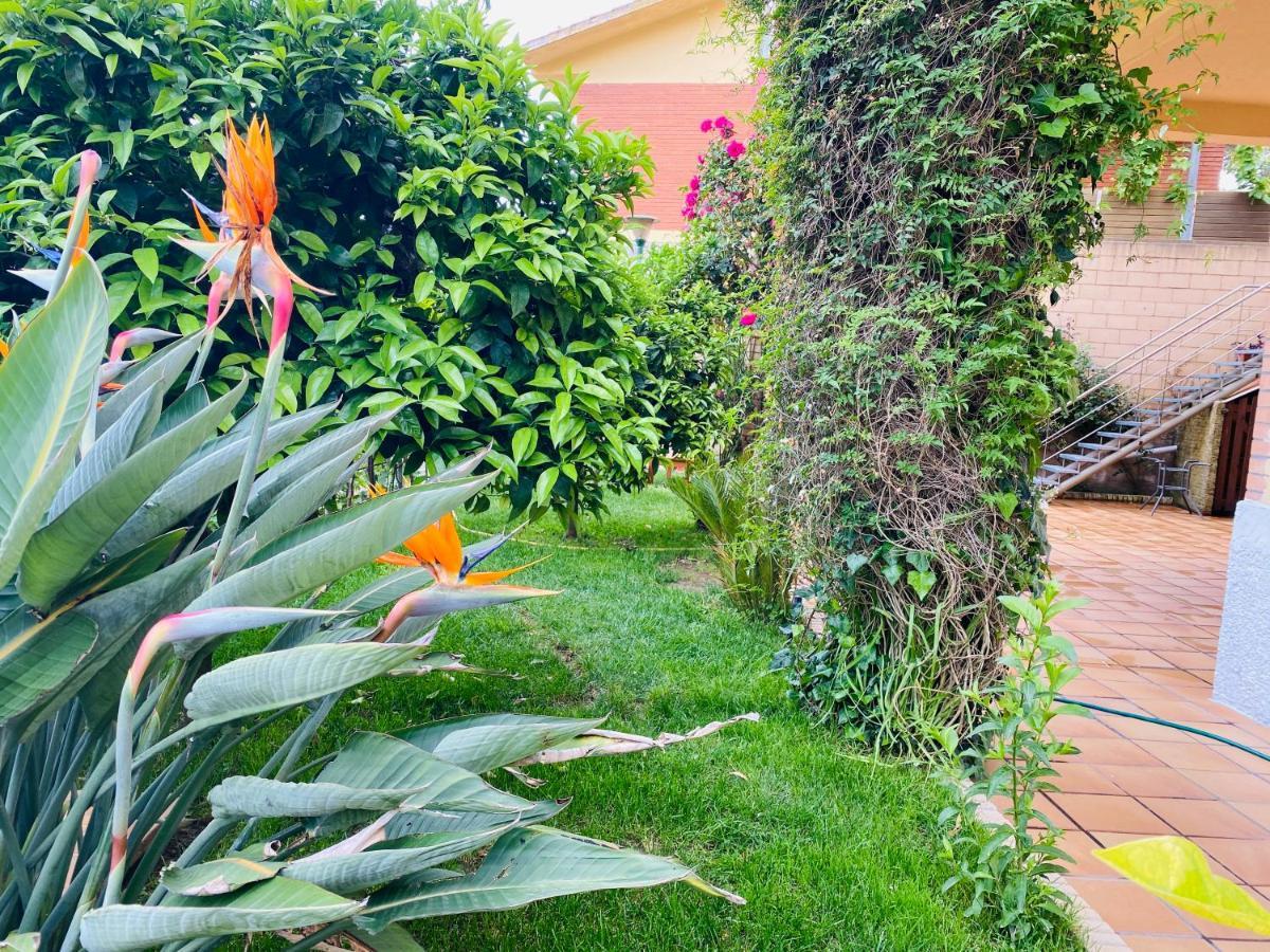 Apartamento Mar Y Montana Argentona Exterior photo